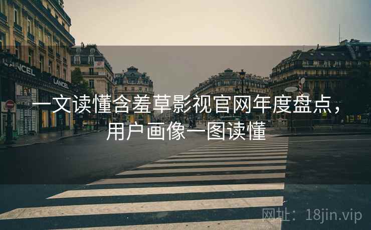 一文读懂含羞草影视官网年度盘点，用户画像一图读懂