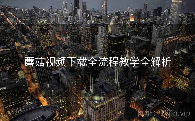 蘑菇视频下载全流程教学全解析