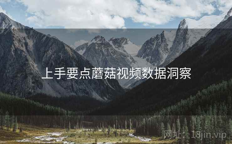上手要点蘑菇视频数据洞察