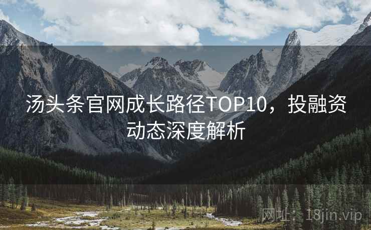 汤头条官网成长路径TOP10，投融资动态深度解析